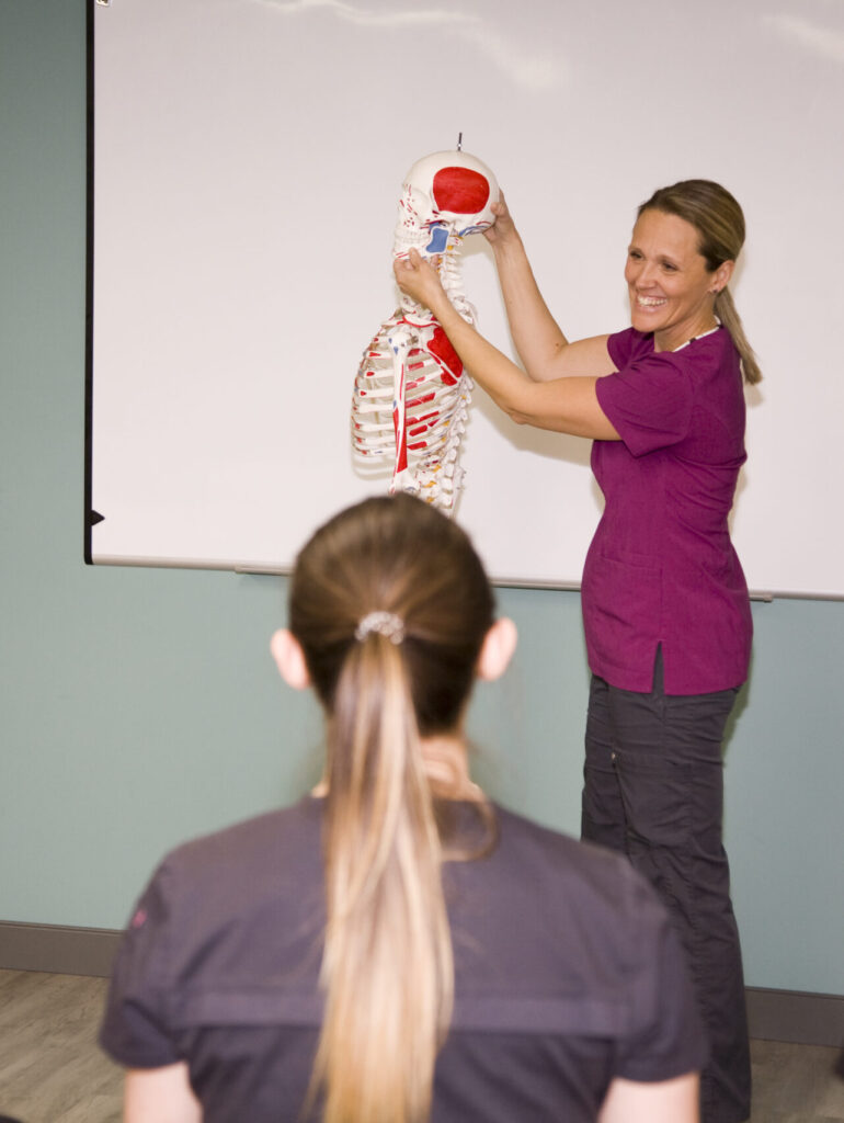 Massage Therapist Certification